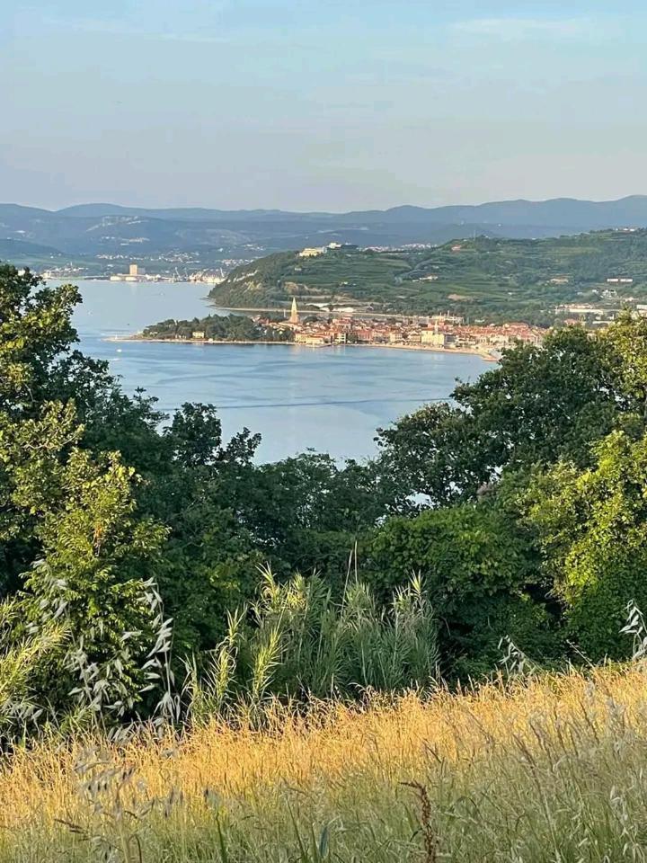 Vanilla Izola Exteriör bild